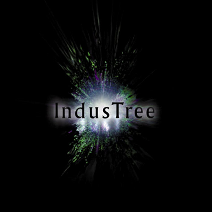IndusTree – Live at De Roos Van Nijmegen ’98 – Diogenes