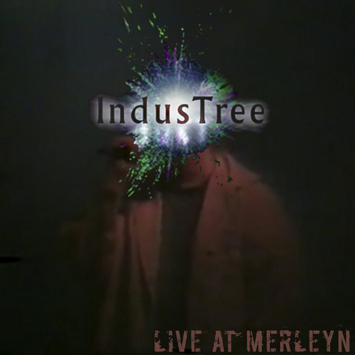 IndusTree – Live at Merleyn ’98