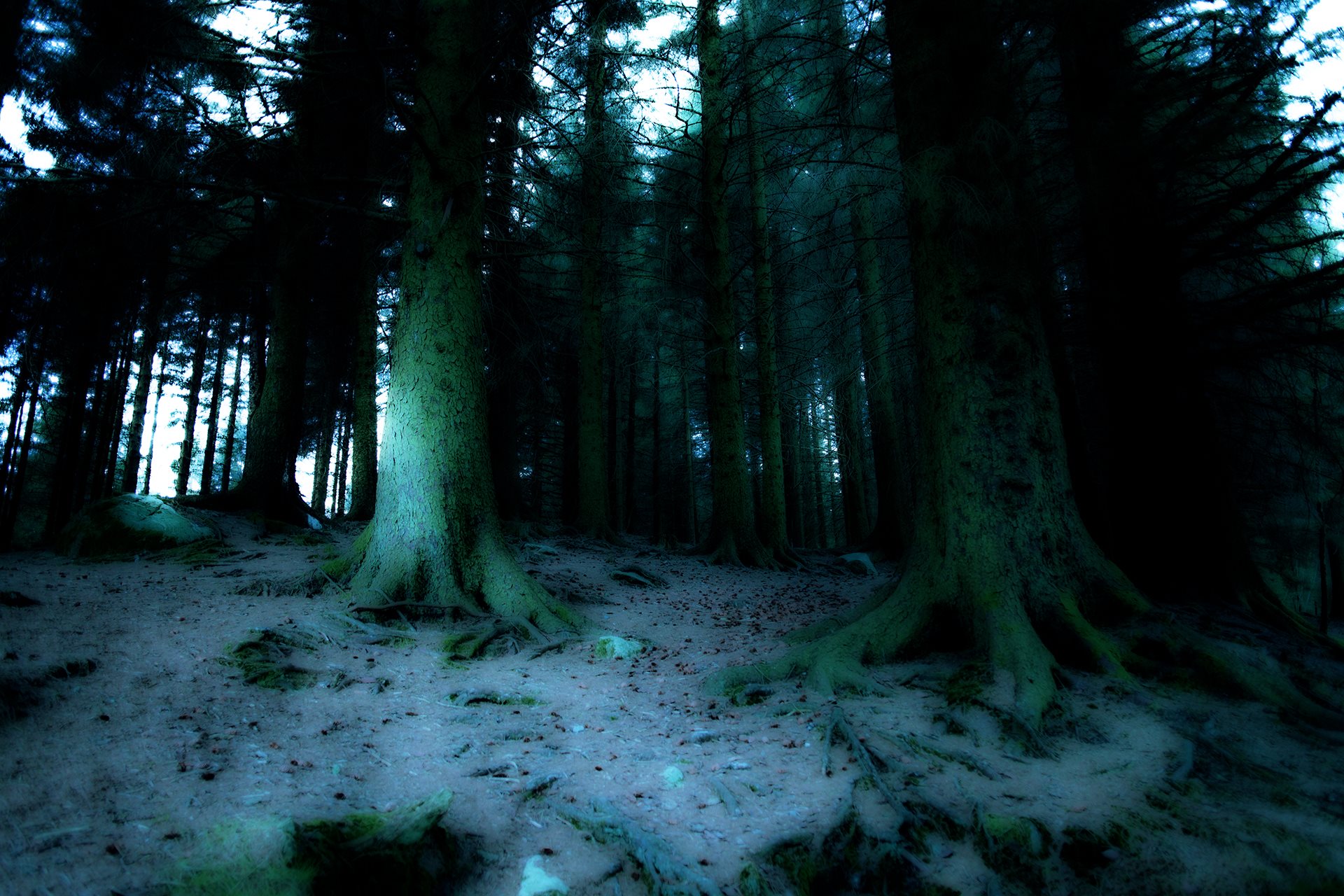 Norway [2011]
