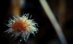 Gijs Musters Photography