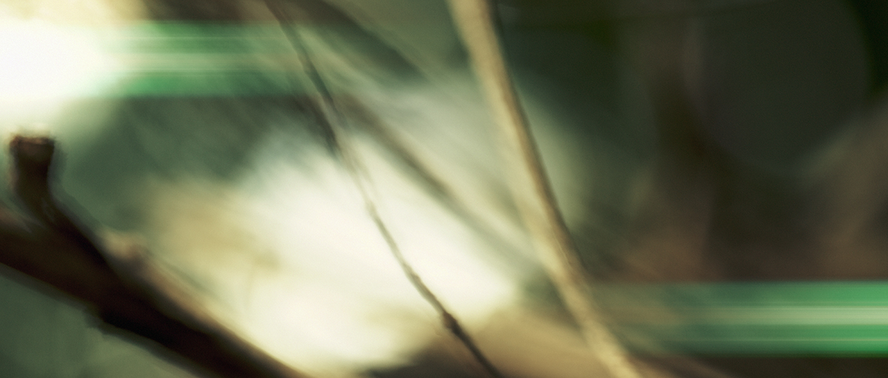 Walkabout [2015]