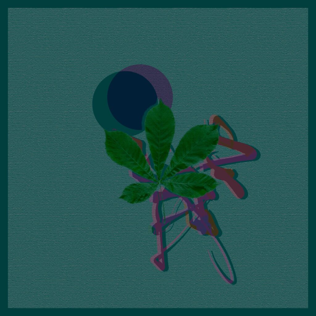 CausaliDox – Coda