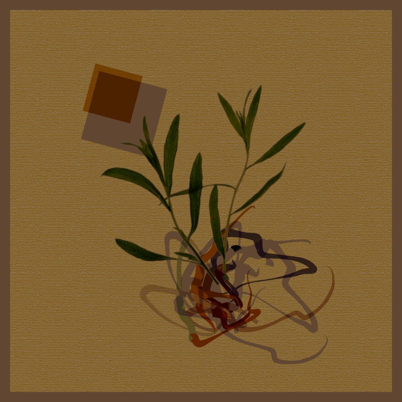 CausaliDox – Consensus Reality [Diffuse Reality / Teorema – TE0018] [2021]