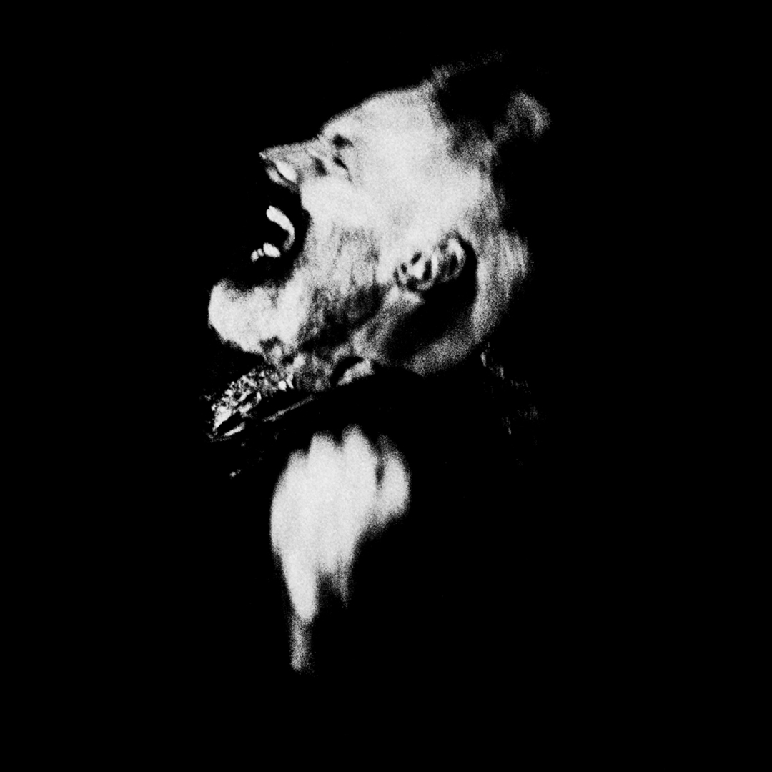 Hadewych++ – Incubate Festival [2014]